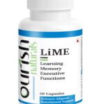 LiME - Learning Memory Executive Functions